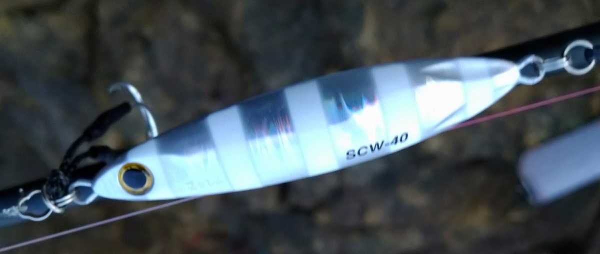 地磯釣行！ショアスローであの青物が…釣れました！！ - ライト太郎.net