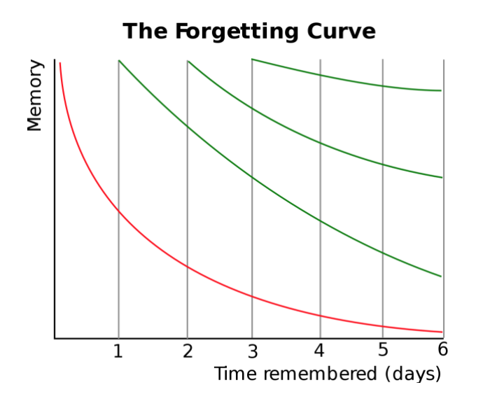 f:id:surgeonkazu:20200529144609p:plain f:id:surgeonkazu:20200529144609p:plain