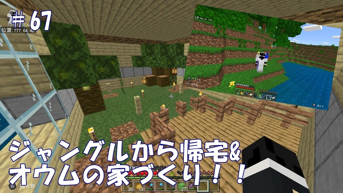 マイクラ ジャングルから帰宅 ペットマンションにオウムの部屋を作る 67 スローのマイクラ日記