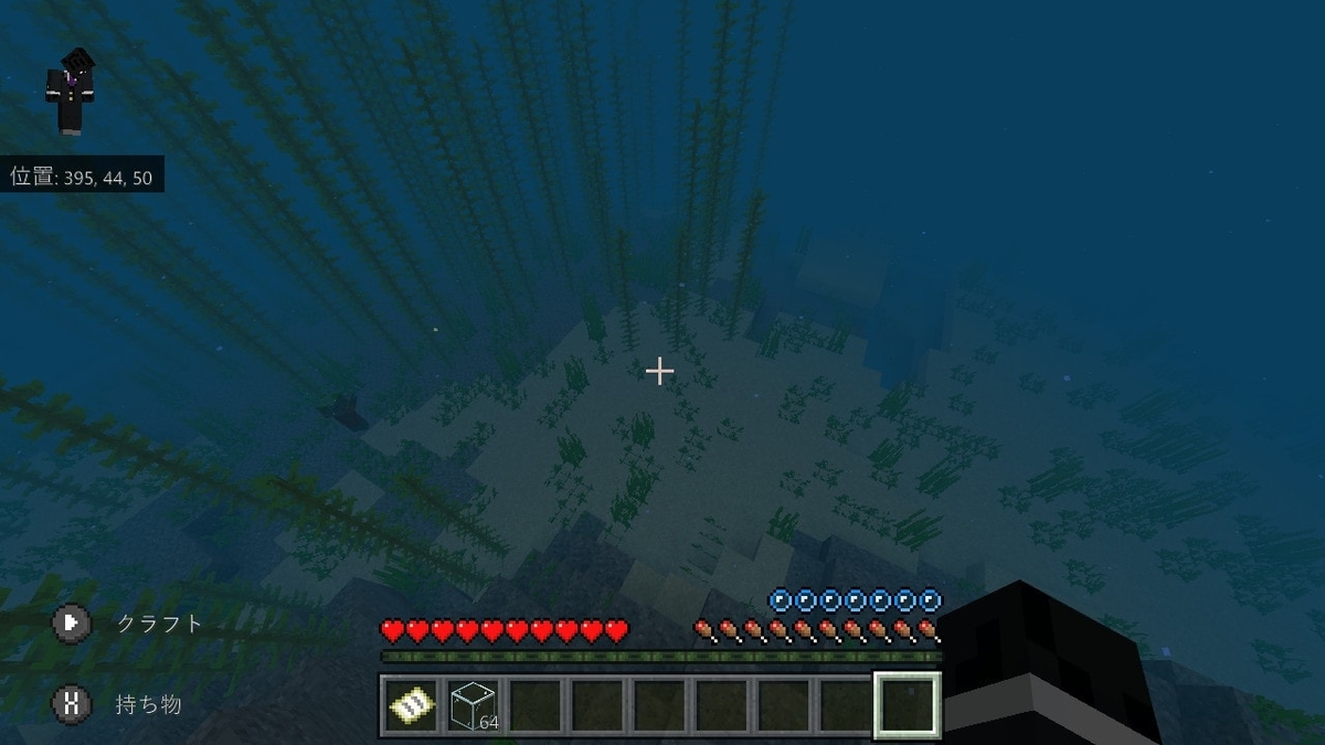海底生活 マインクラフター お魚になりたいので海底に潜ります マイクラ 1 すろーのマイクラ日記
