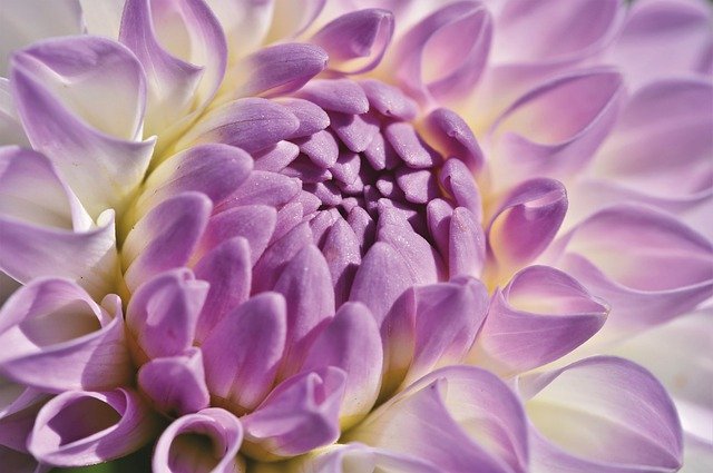 f:id:surrender33:20200917205549j:plain f:id:surrender33:20200917205549j:plain