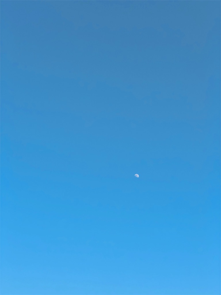 f:id:surrey:20190612223338j:image f:id:surrey:20190612223338j:image