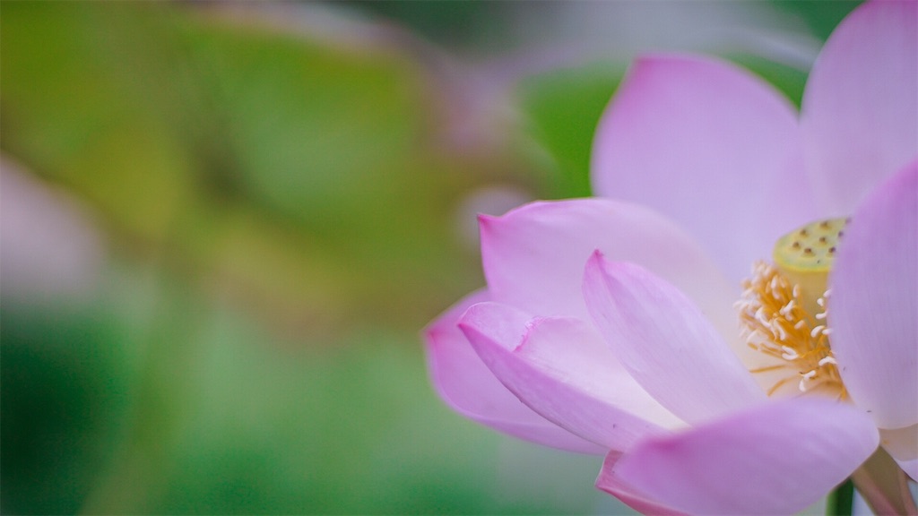 f:id:surrey:20190818235246j:image f:id:surrey:20190818235246j:image