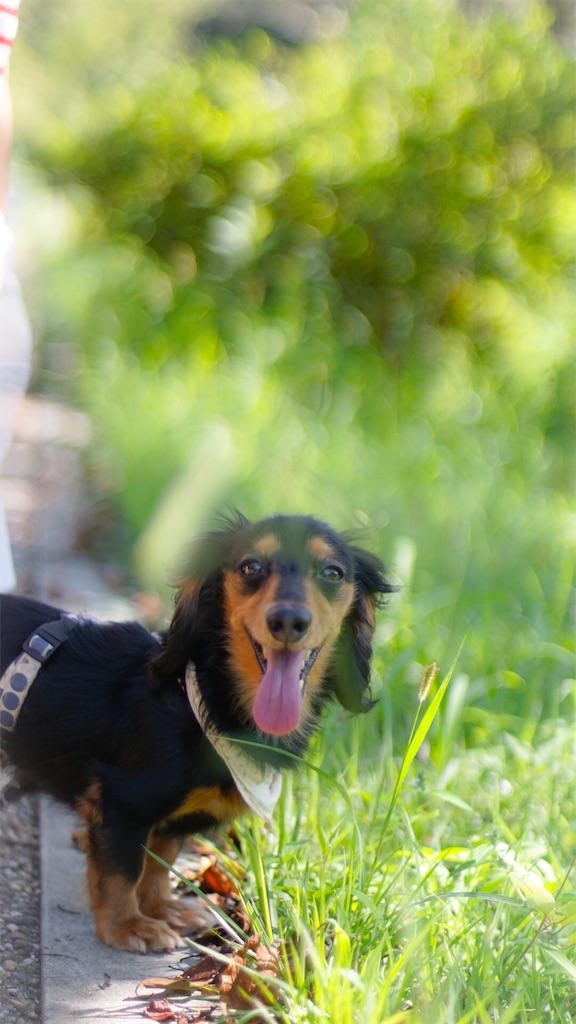 f:id:surrey:20190904141648j:image f:id:surrey:20190904141648j:image