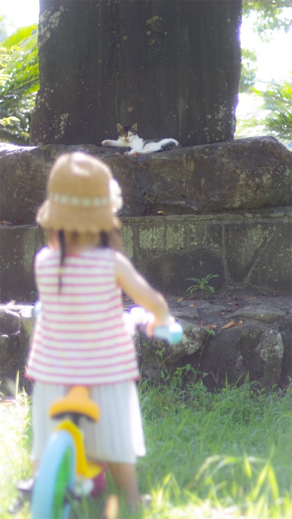 f:id:surrey:20190904141727j:image f:id:surrey:20190904141727j:image