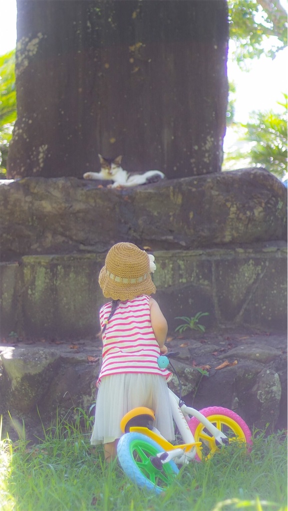 f:id:surrey:20190904141733j:image f:id:surrey:20190904141733j:image