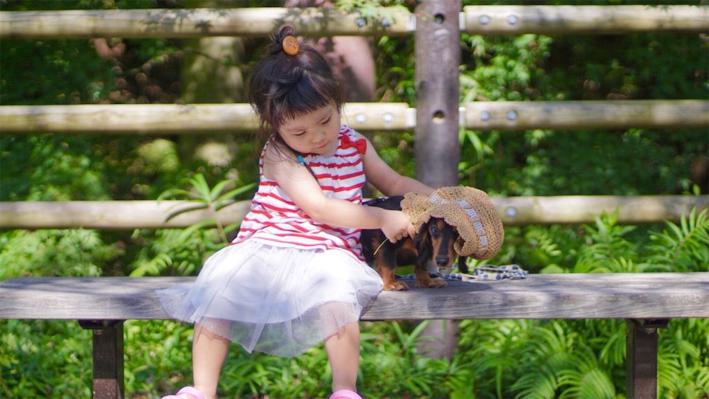 f:id:surrey:20190904141856j:image f:id:surrey:20190904141856j:image
