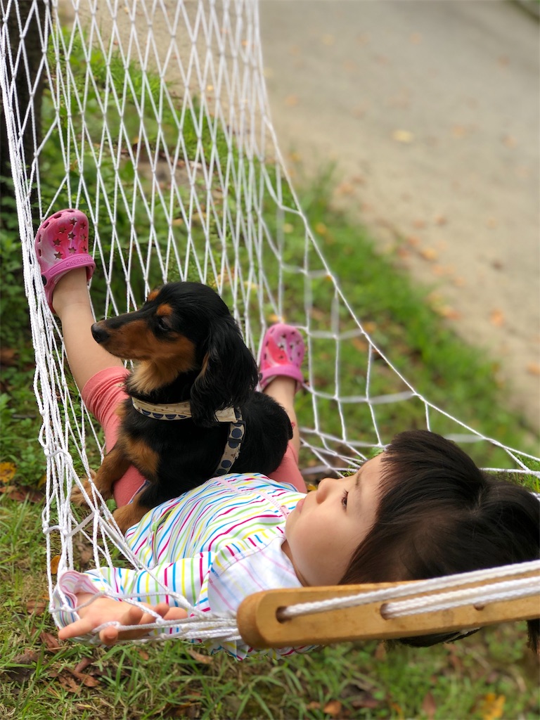 f:id:surrey:20190904142010j:image f:id:surrey:20190904142010j:image