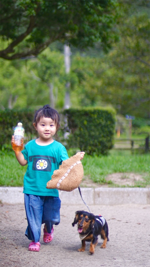 f:id:surrey:20190904142019j:image f:id:surrey:20190904142019j:image