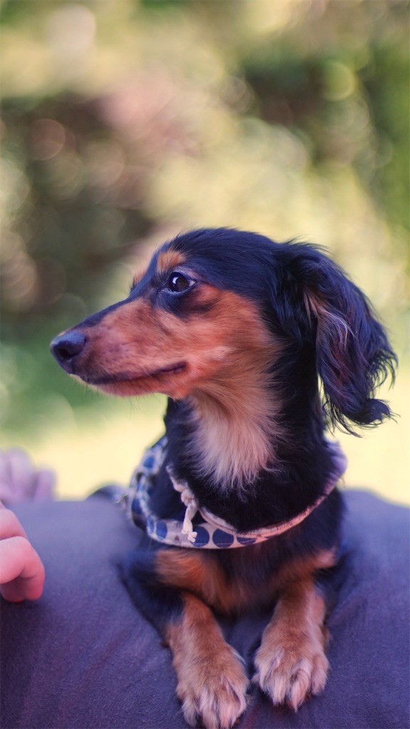 f:id:surrey:20190904142106j:image f:id:surrey:20190904142106j:image