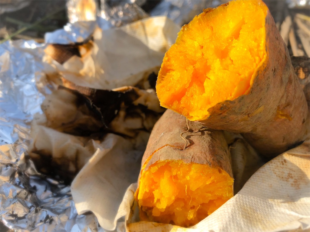 f:id:surrey:20190923231207j:image f:id:surrey:20190923231207j:image