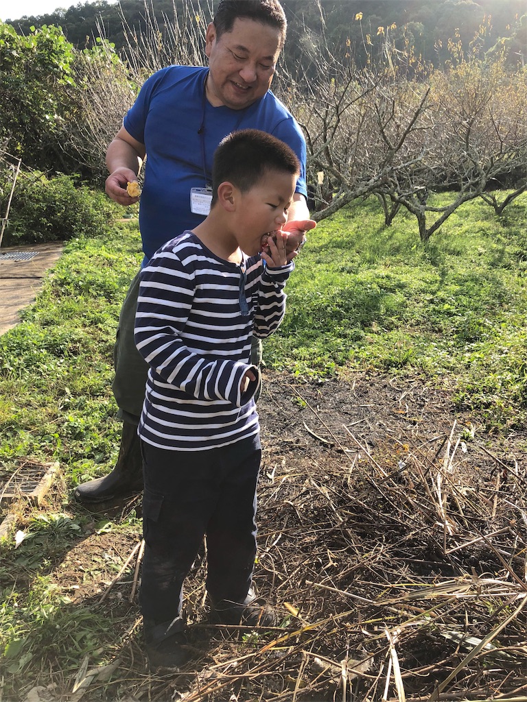 f:id:surrey:20191022213750j:image f:id:surrey:20191022213750j:image