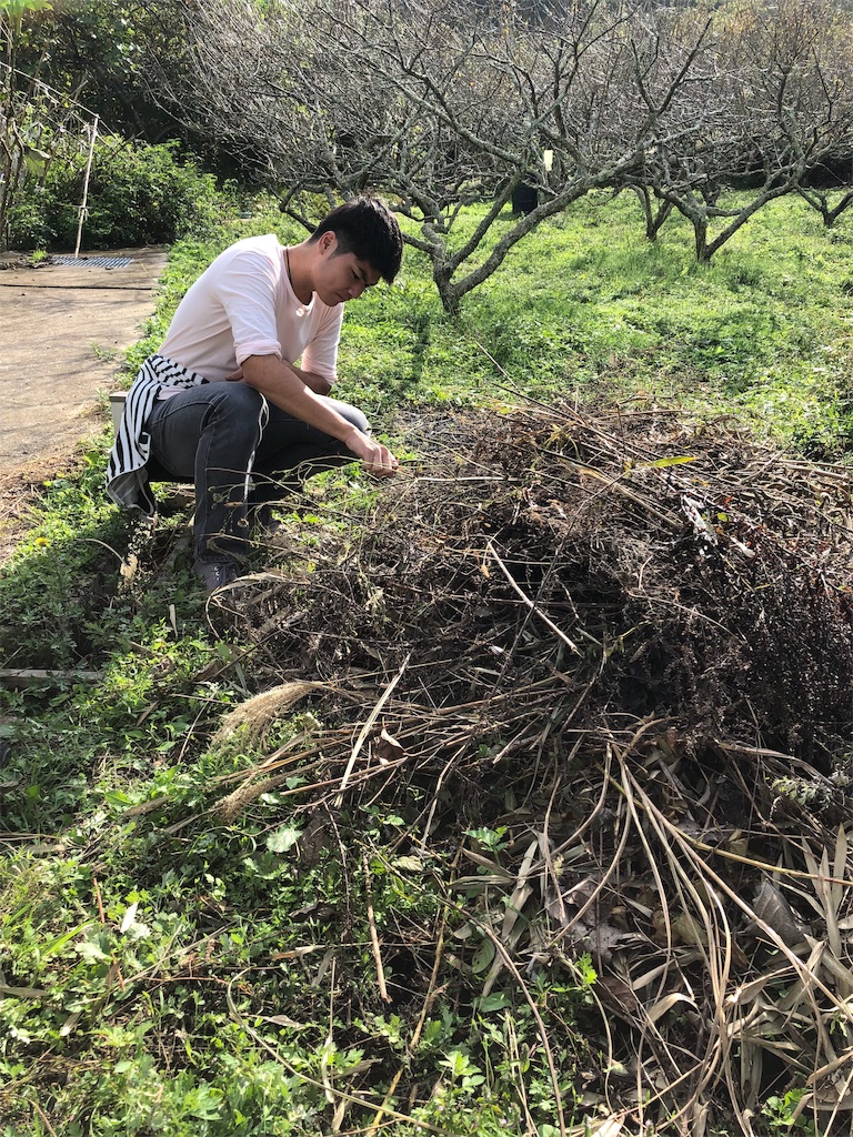 f:id:surrey:20191022213804j:image f:id:surrey:20191022213804j:image