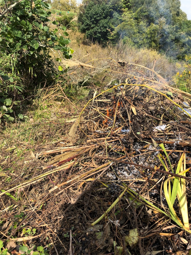 f:id:surrey:20191022213820j:image f:id:surrey:20191022213820j:image