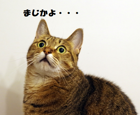 f:id:surumegohan:20210802175143p:plain
