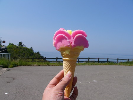 f:id:surumeno13:20080519224611j:image f:id:surumeno13:20080519224611j:image