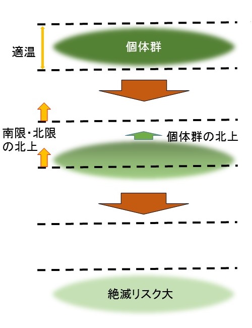 f:id:sus-edu:20140706033925j:image