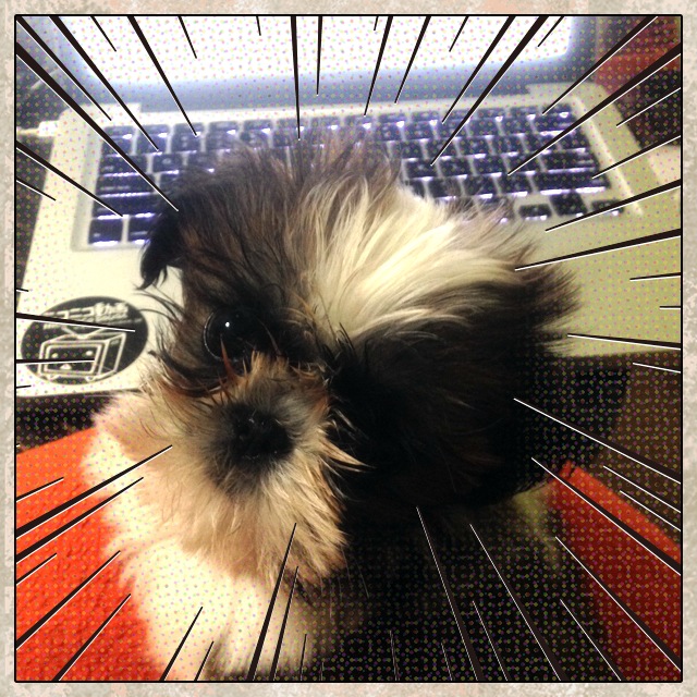 f:id:susanne:20150411160445j:plain f:id:susanne:20150411160445j:plain