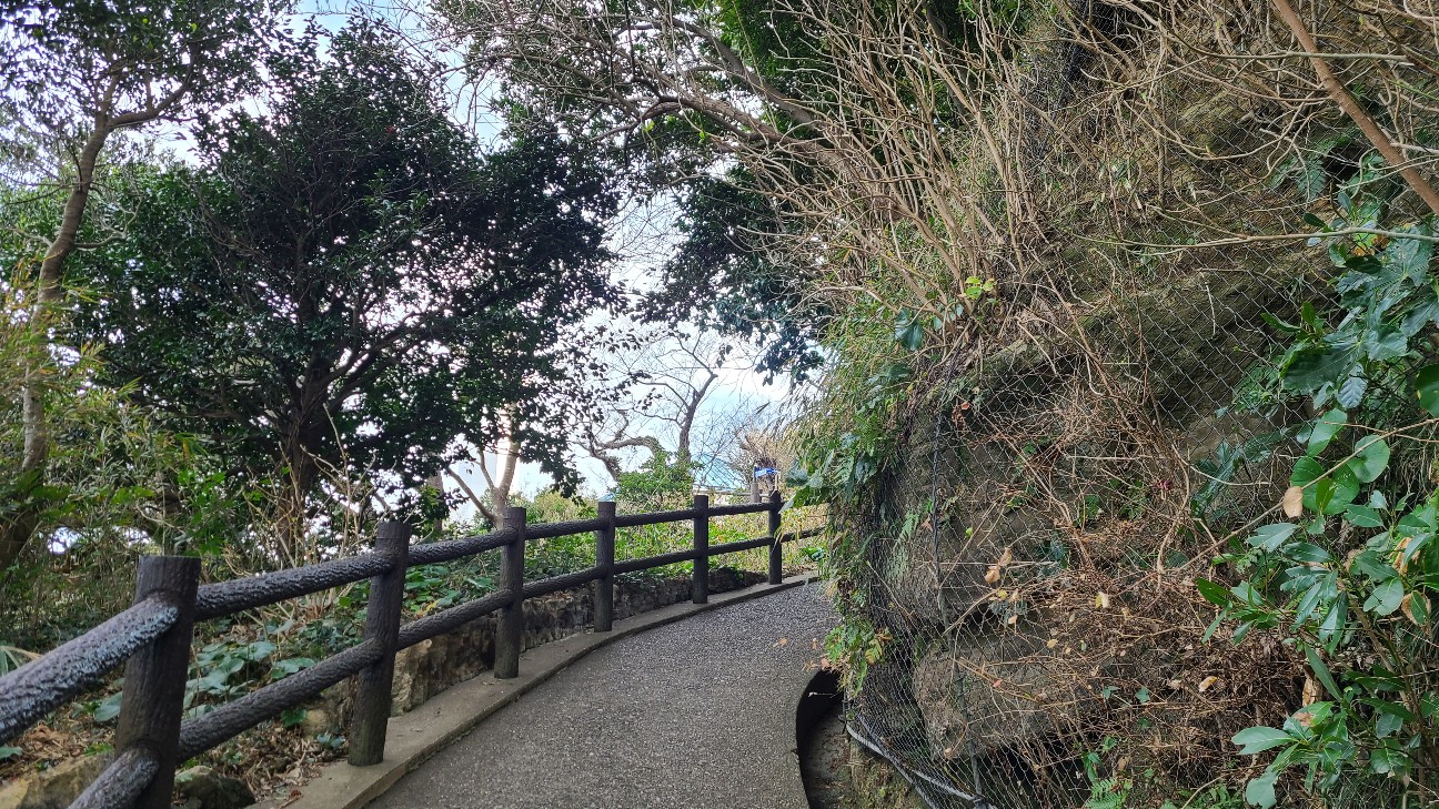 f:id:sushi_0su4:20220130142233j:plain