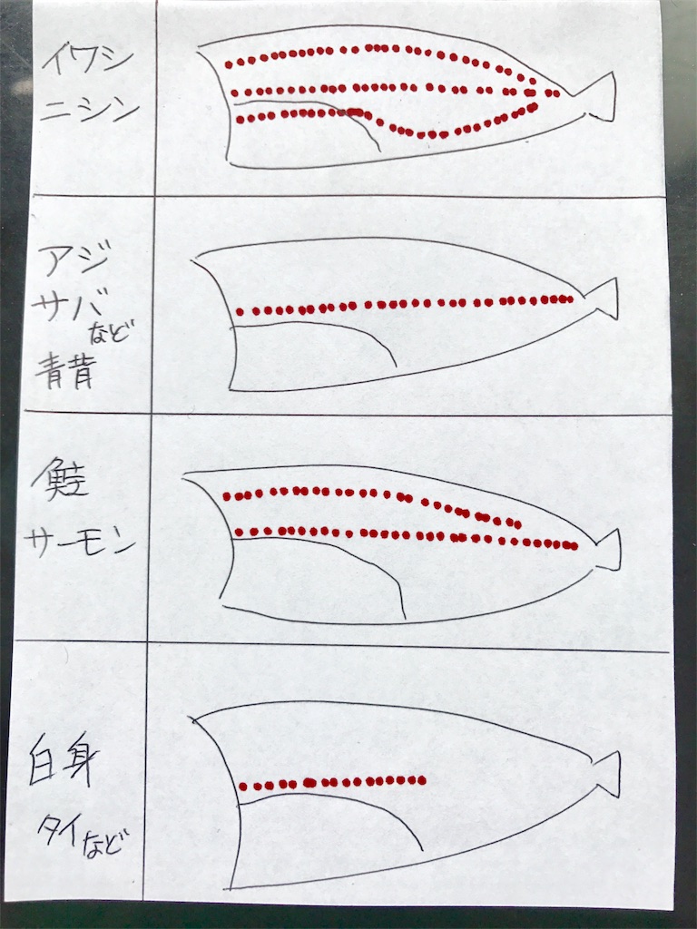 鰯 イワシ 酒と鮓 梅軒 バイケン 鰯 イワシ 酒と鮓 梅軒 バイケン