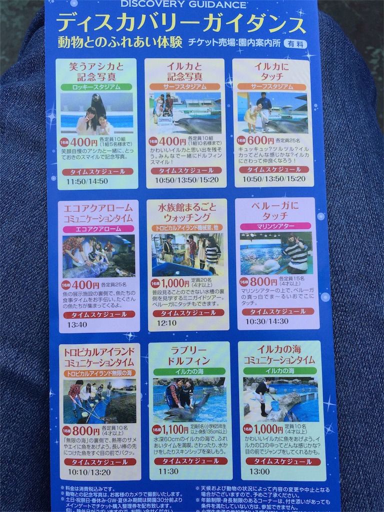 千葉旅行１日目 鴨川シーワールド満喫 ママは大変 子育て満点じゃなくても