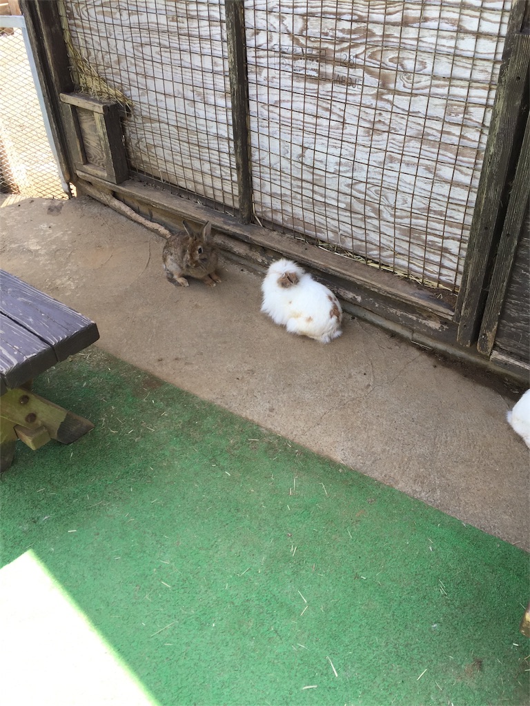 f:id:sushiikura:20180729162226j:image f:id:sushiikura:20180729162226j:image