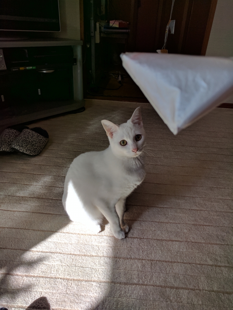 f:id:sushinium:20170406200249j:plain