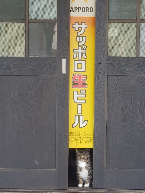 f:id:sushiprincess:20200719232530j:image