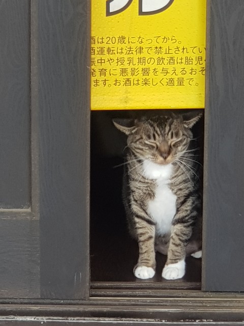 f:id:sushiprincess:20200719232636j:image