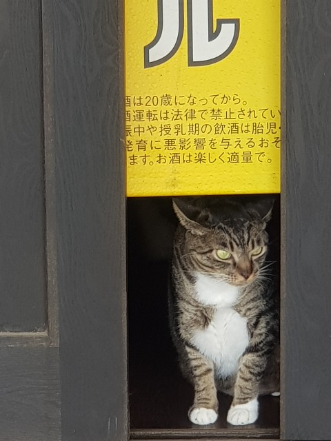 f:id:sushiprincess:20200719232811j:image