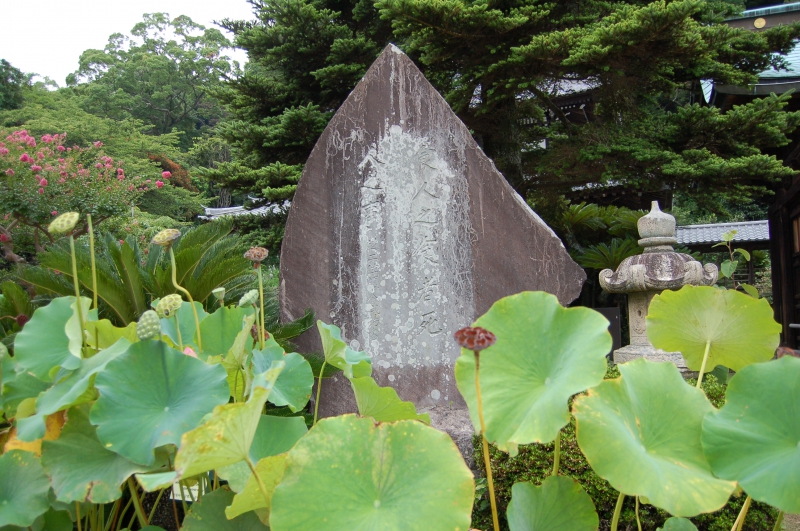 イメージ 14