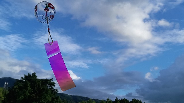 f:id:suso3135:20230818111511j:image f:id:suso3135:20230818111511j:image