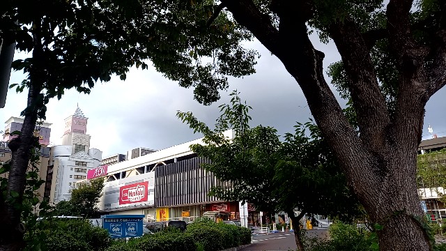 f:id:suso3135:20231014084208j:image