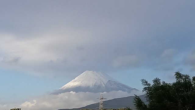 f:id:suso3135:20241210084320j:image