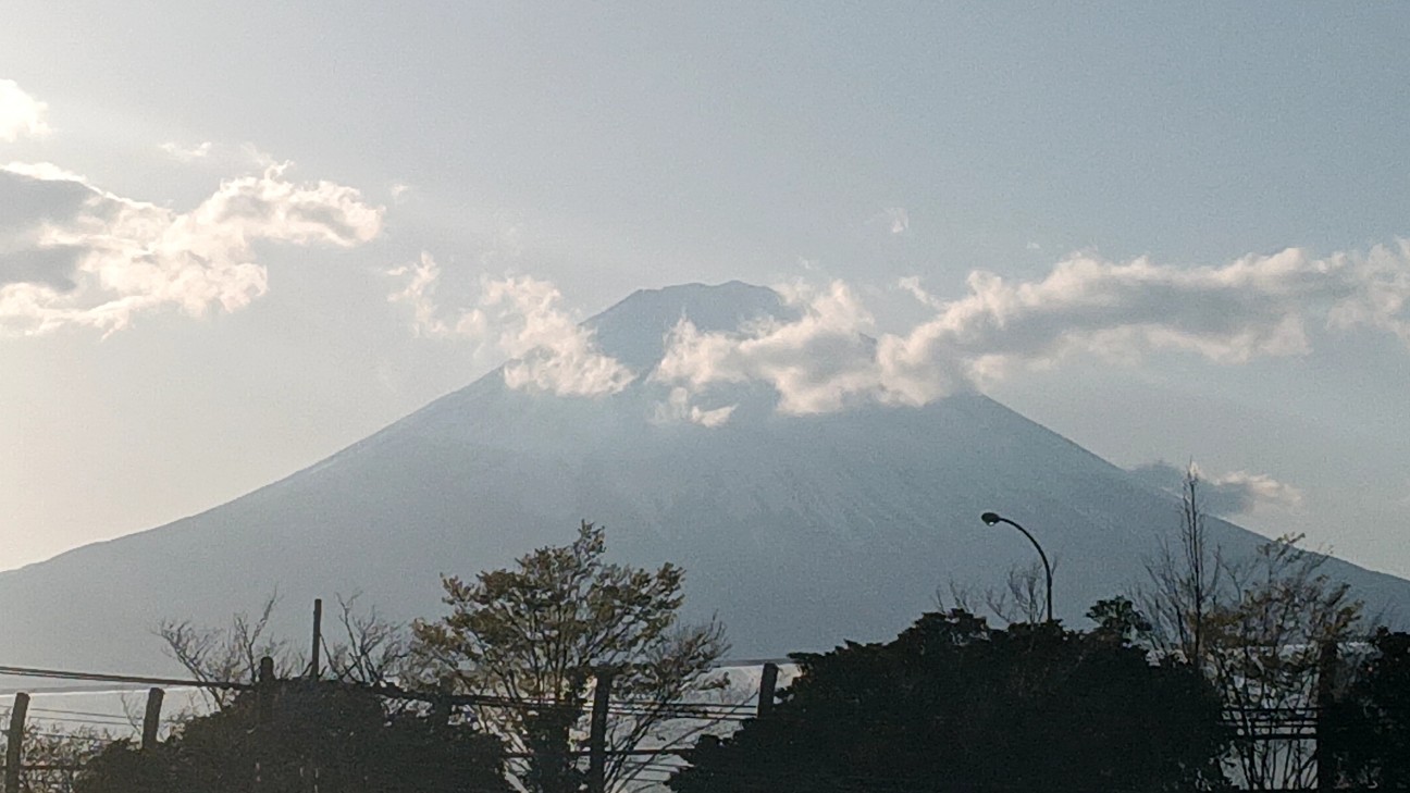 f:id:suso3135:20260511130628j:image f:id:suso3135:20260511130628j:image