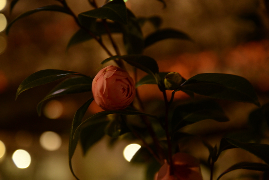 f:id:sustainabilityrvl:20180325080620j:plain f:id:sustainabilityrvl:20180325080620j:plain