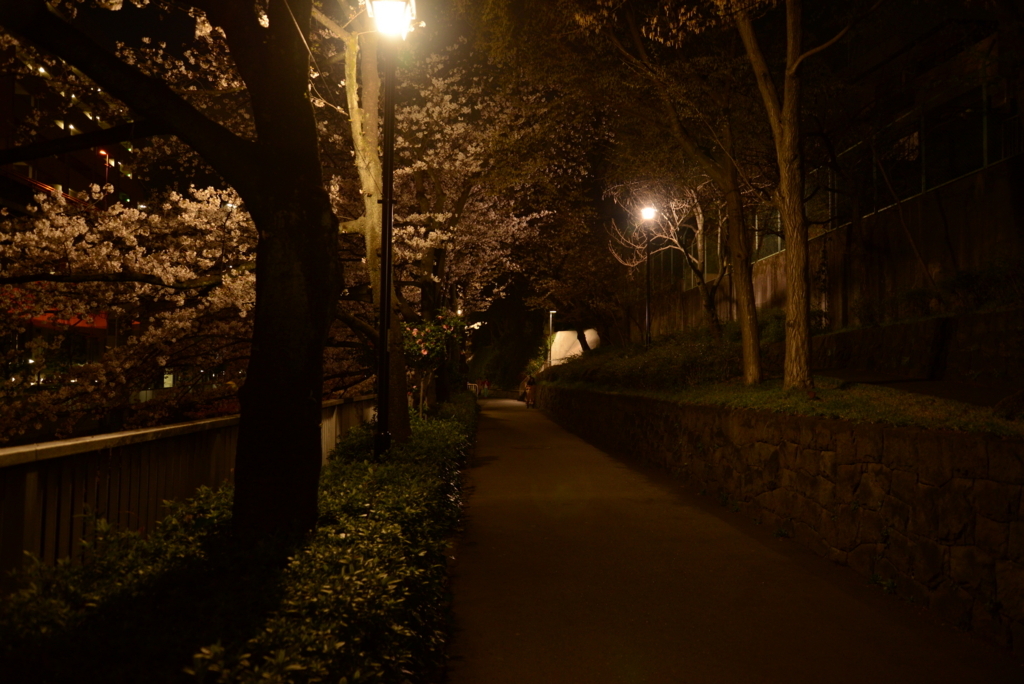 f:id:sustainabilityrvl:20180325081006j:plain f:id:sustainabilityrvl:20180325081006j:plain