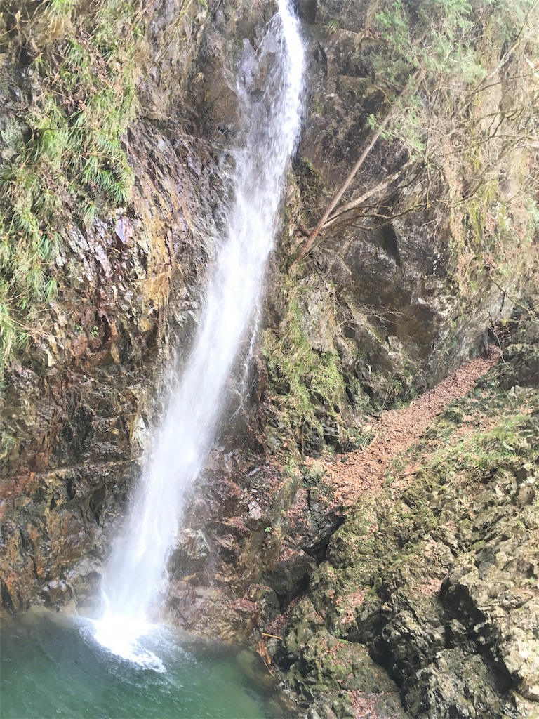 f:id:susu8__sui:20180317200053j:image