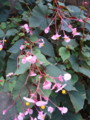20120922235653