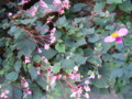 20120923003045