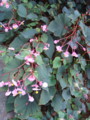 20120923003114