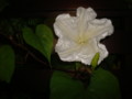 20121015065822