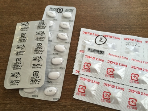 カウフマン療法でお休み プレマリンとプロベラ カモン 2人目