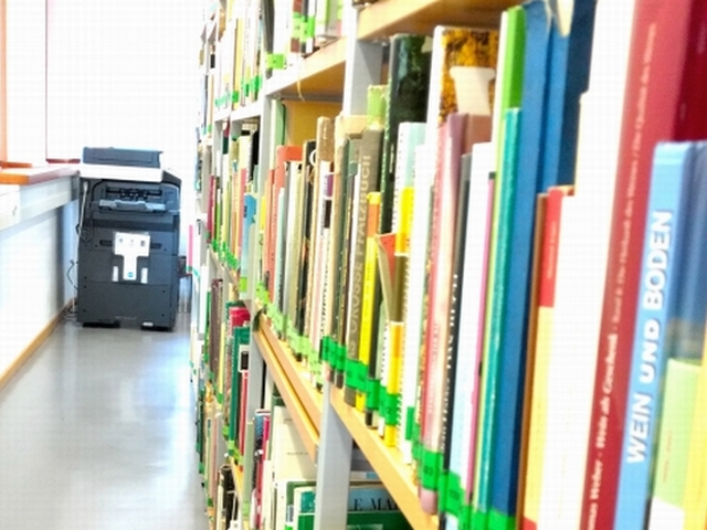 f:id:susumu1mm:20190427232038j:plain f:id:susumu1mm:20190427232038j:plain