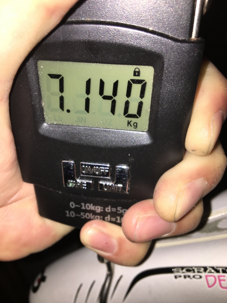 f:id:susutex:20170421201818j:plain