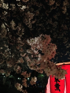 f:id:sutage:20130329211228j:image