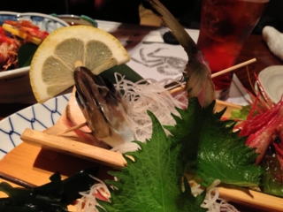 f:id:sutage:20130430202603j:image