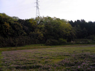 f:id:sutara_lumpur:20090413062821j:image