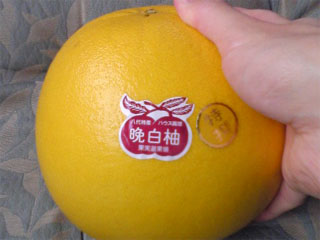 f:id:sutara_lumpur:20090420131202j:image