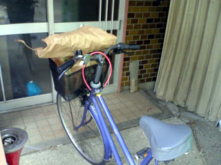 f:id:sutara_lumpur:20090527094930j:image